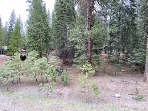 Lake Almanor West Single Lot