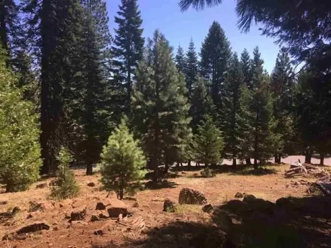 Lake Almanor Country Club Lot
