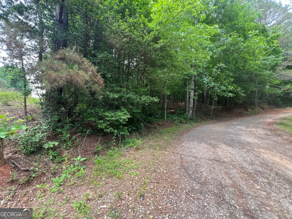 Picture 17