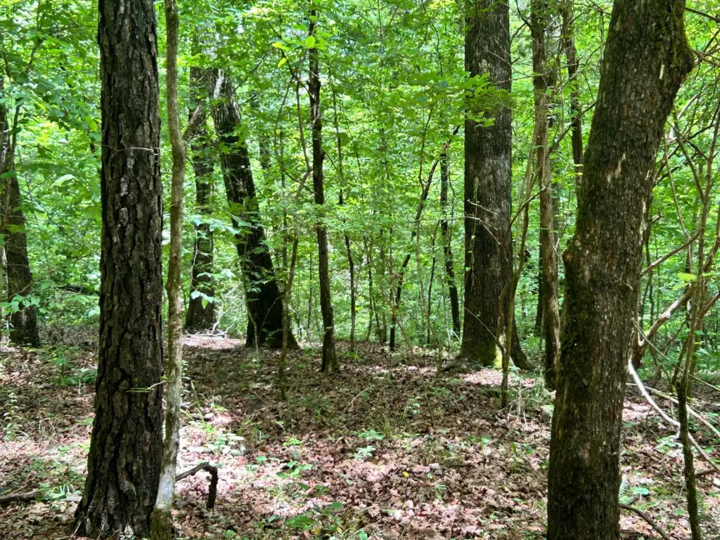 Picture 19