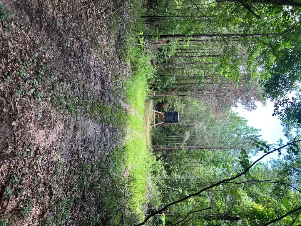 Picture 15