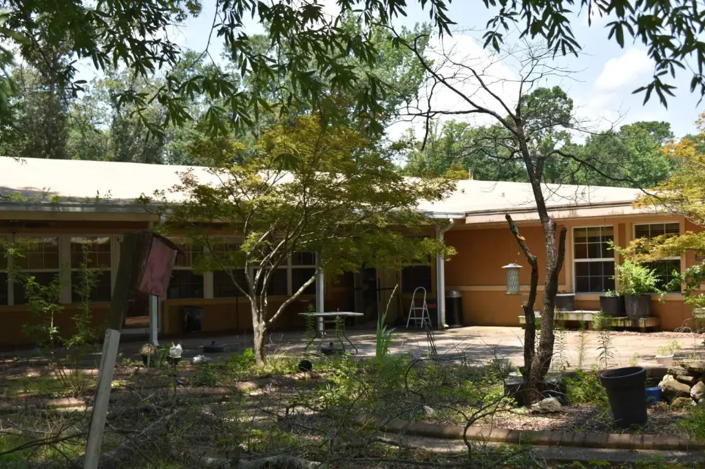 Picture 14