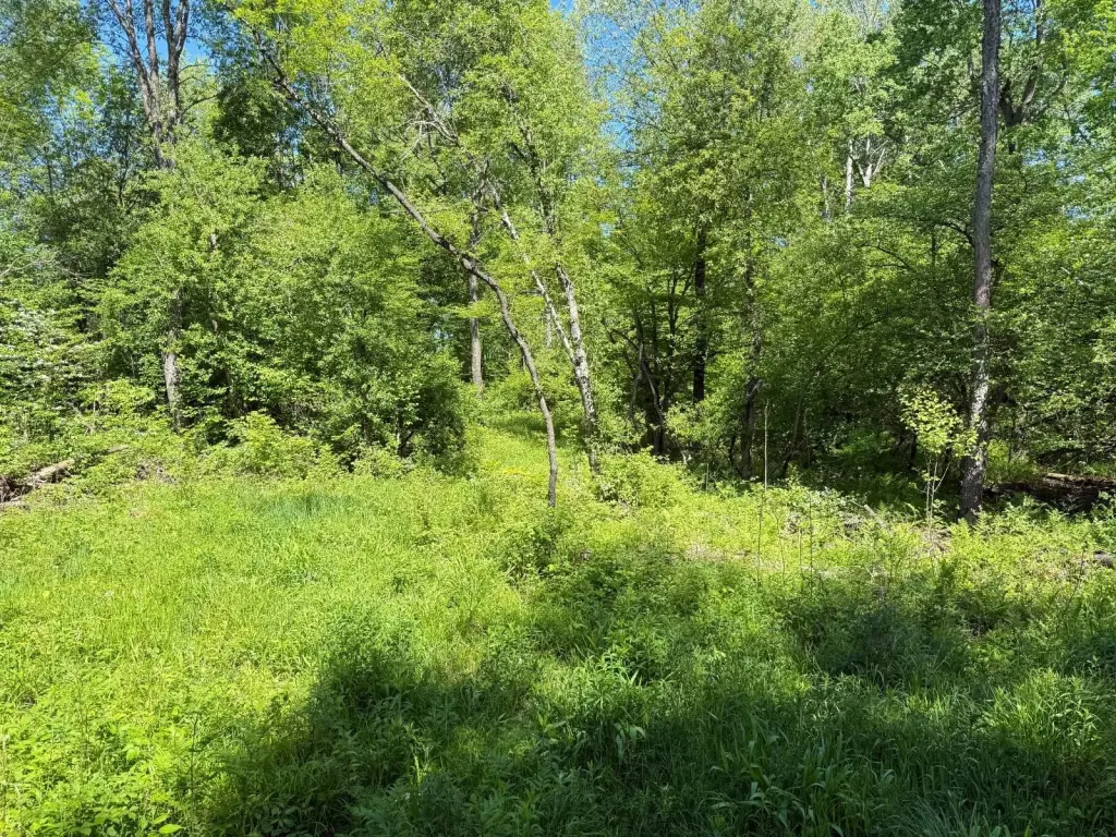 Picture 18