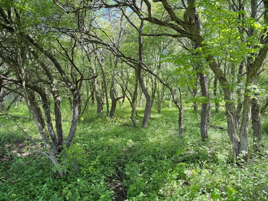 Picture 11