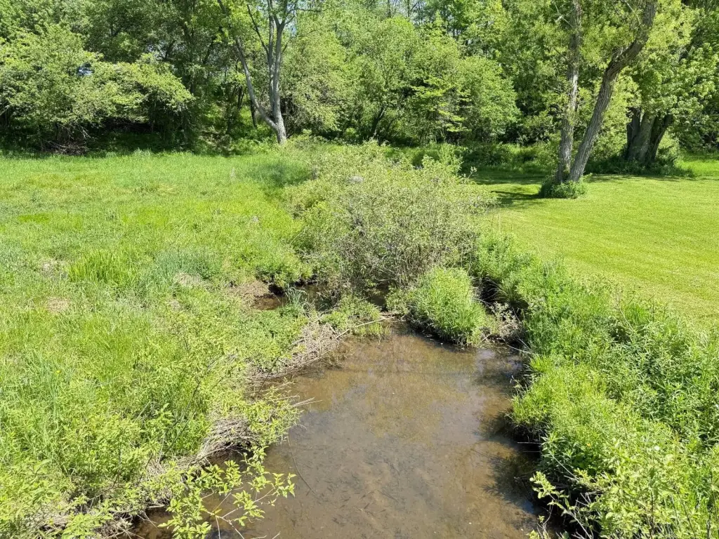 Picture 29