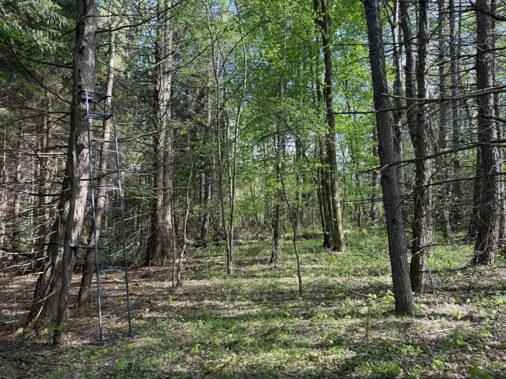 Picture 6