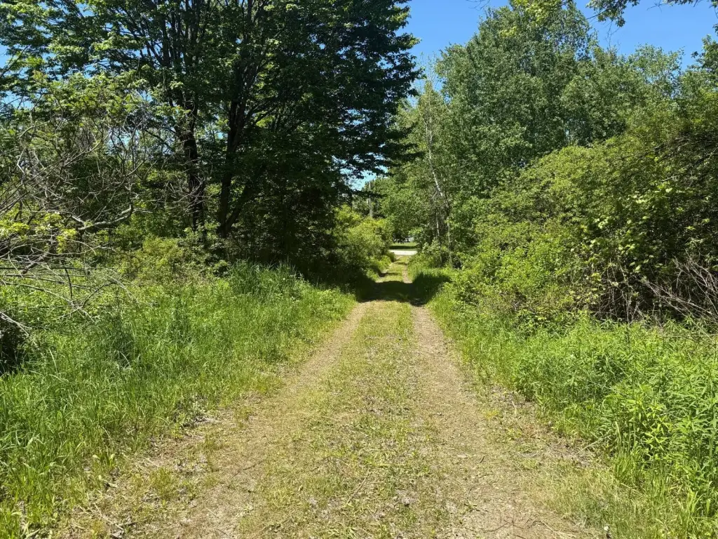 Picture 23