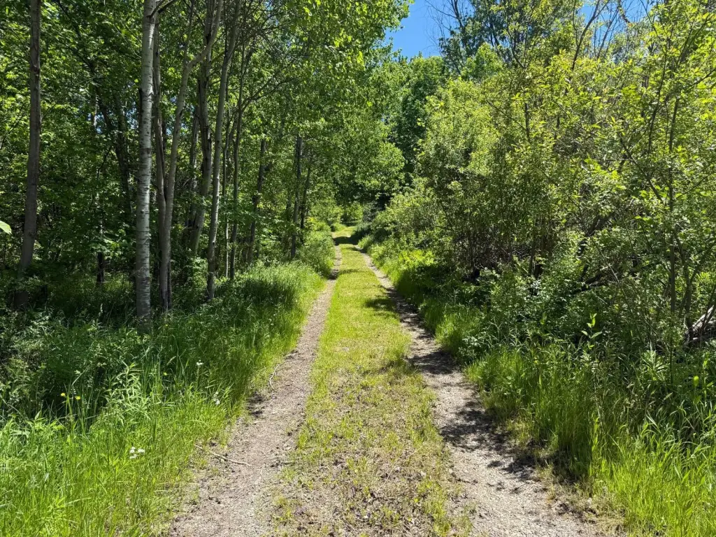 Picture 25