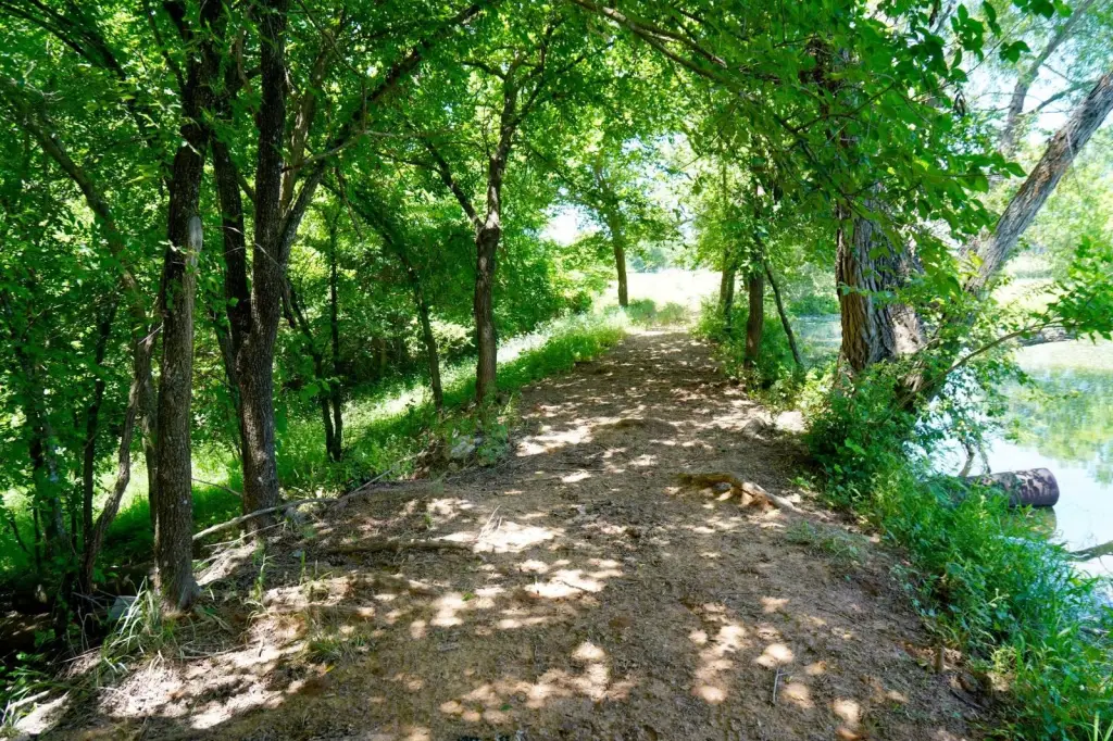 Picture 19