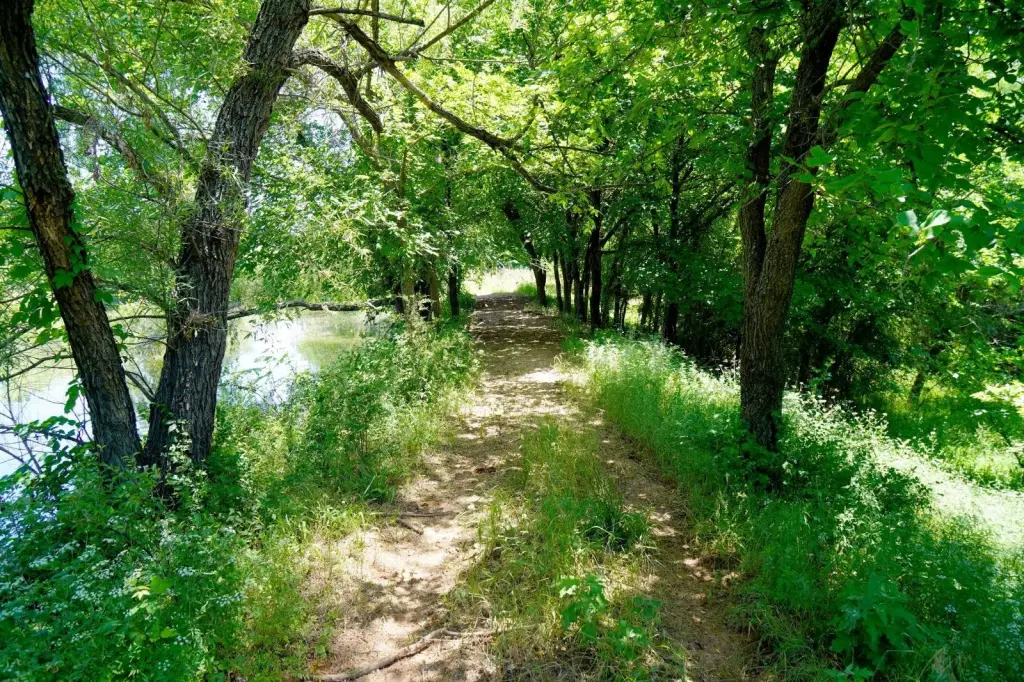 Picture 18