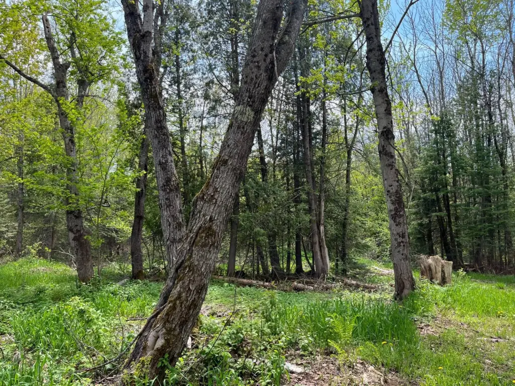Picture 17