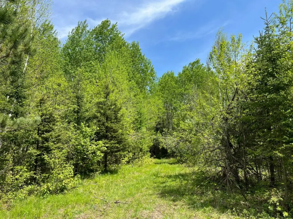Picture 27