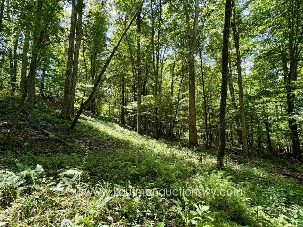 Picture 9