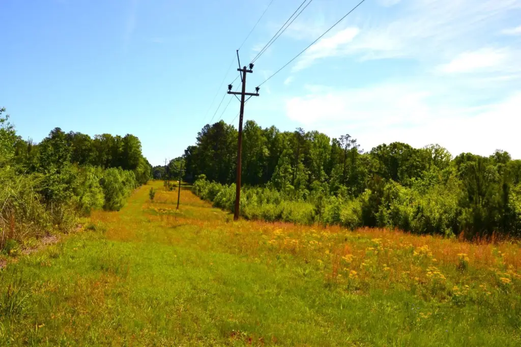 Picture 8