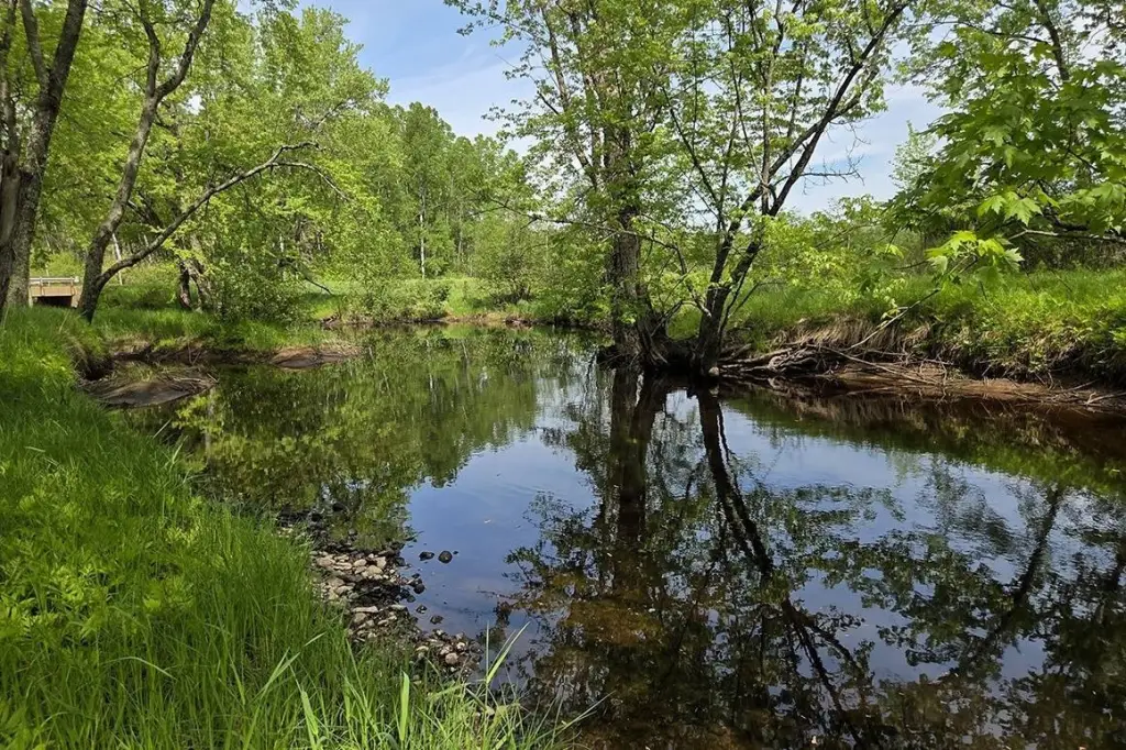Picture 25