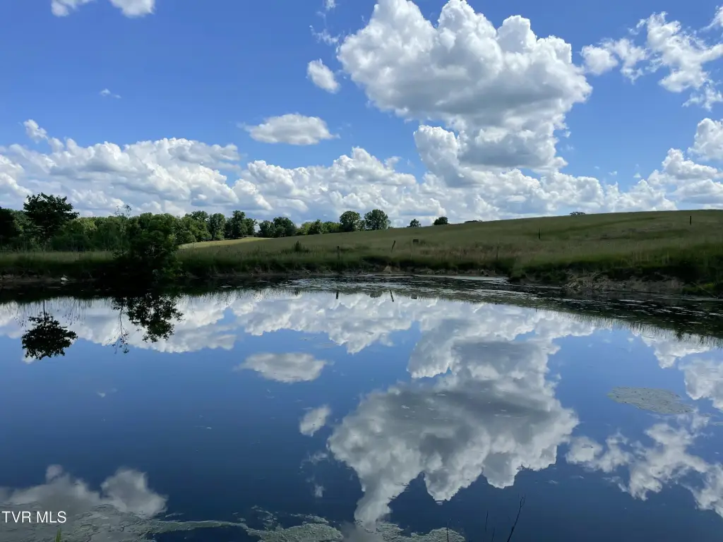 Picture 35