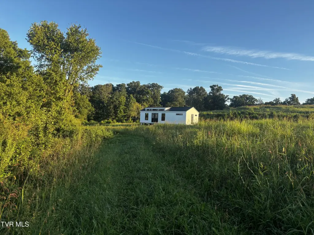 Picture 28