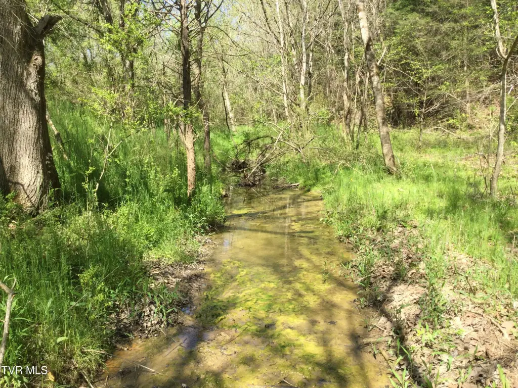 Picture 30