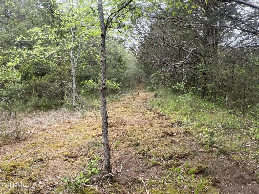 Picture 29