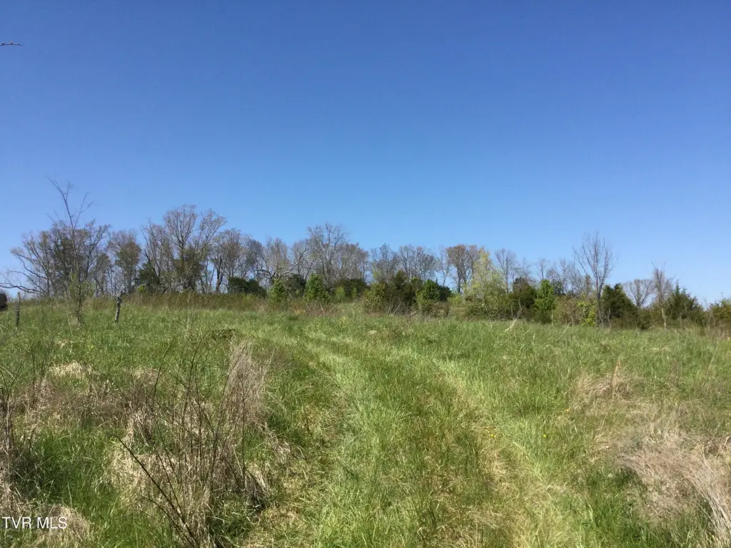 Picture 24