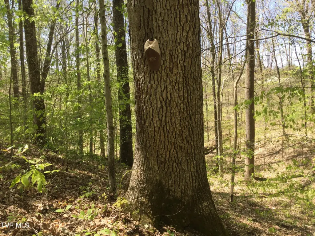 Picture 33
