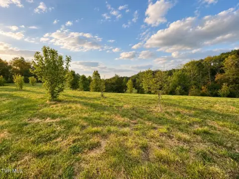 Wooded Agricultural Land