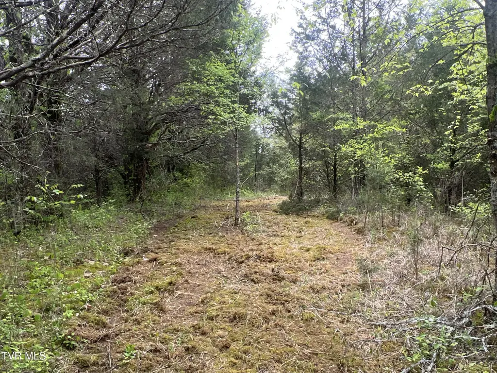 Picture 28