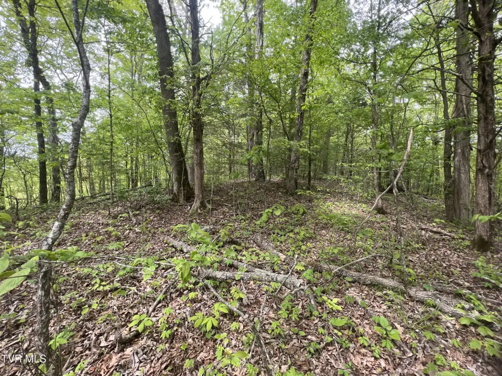 Picture 46