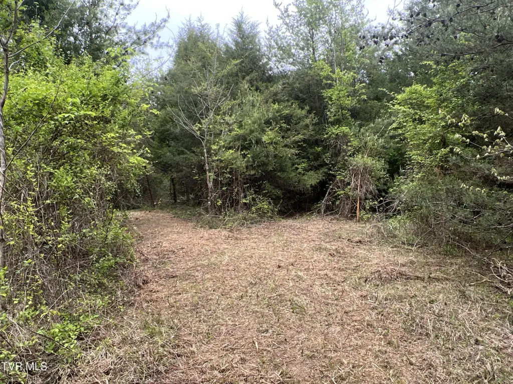 Picture 5