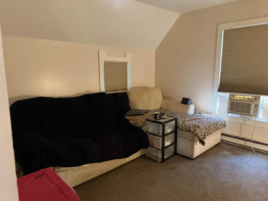Picture 16