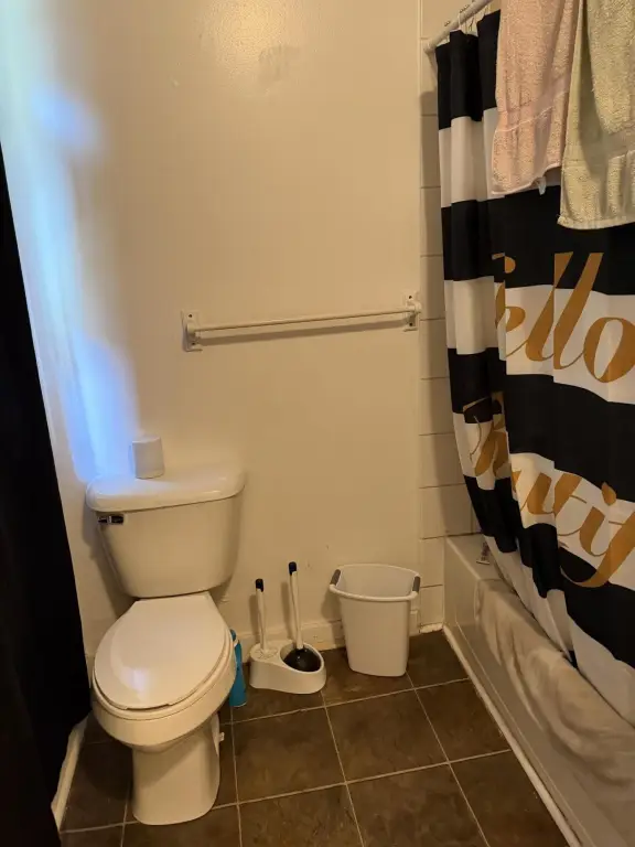 Picture 6