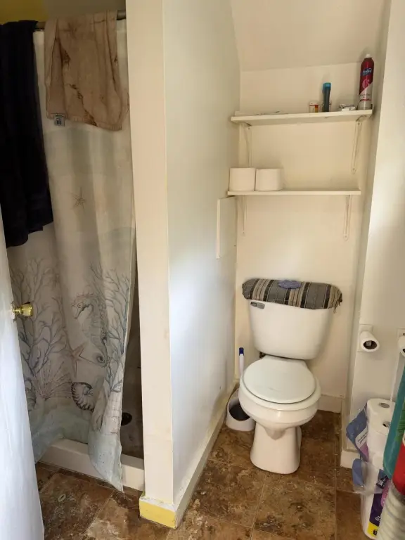 Picture 14