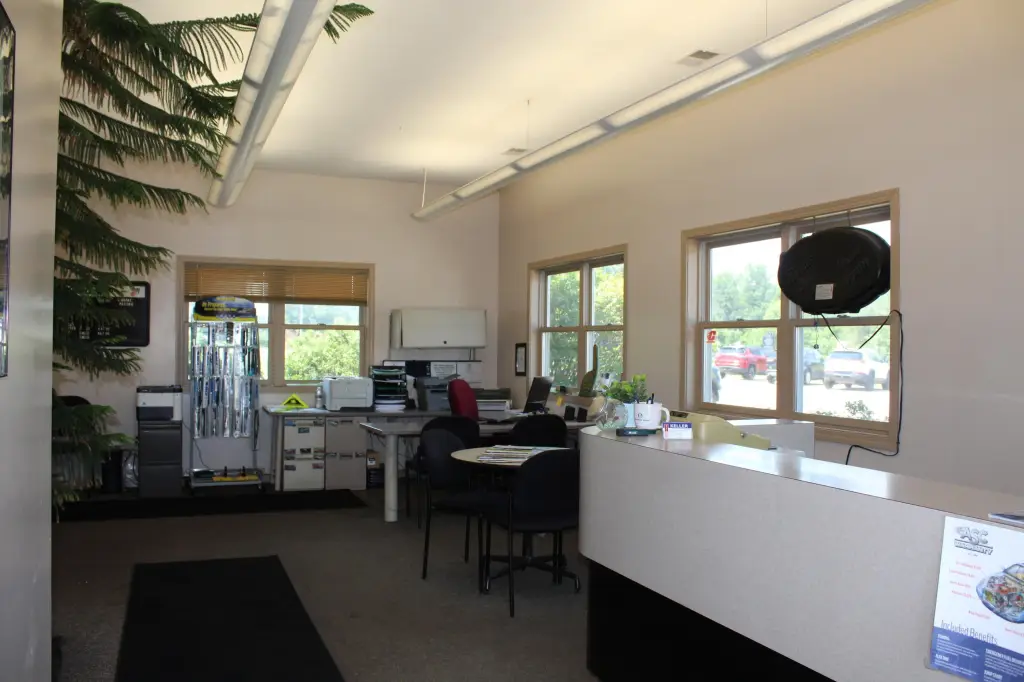 Picture 5
