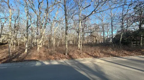 Oak Bluffs Wooded Residential Lot