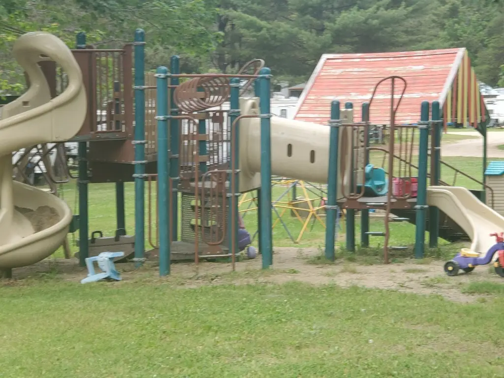 Picture 6