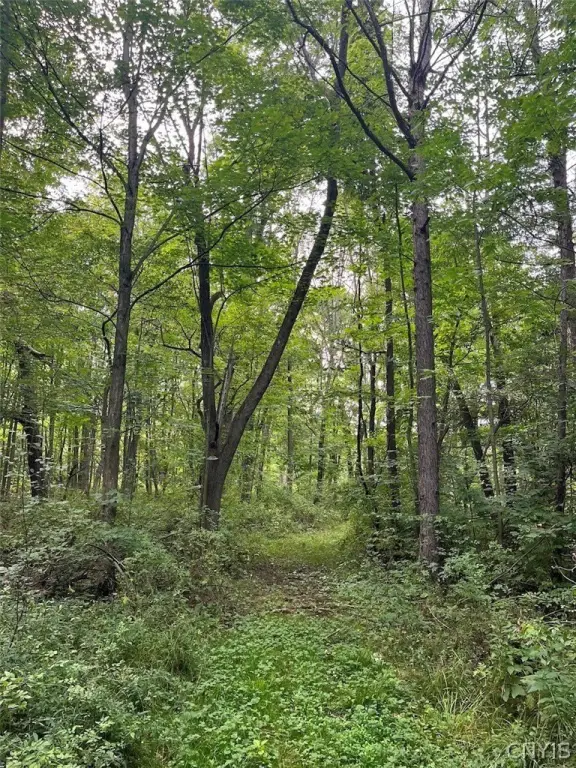 Picture 16