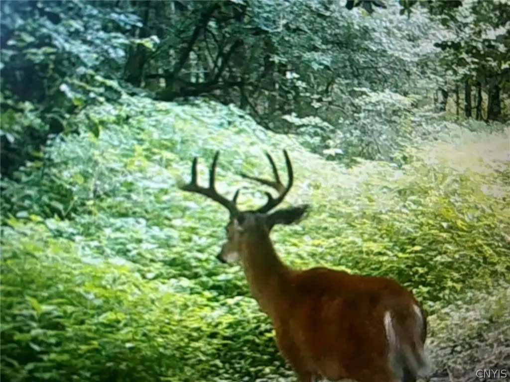 Picture 14