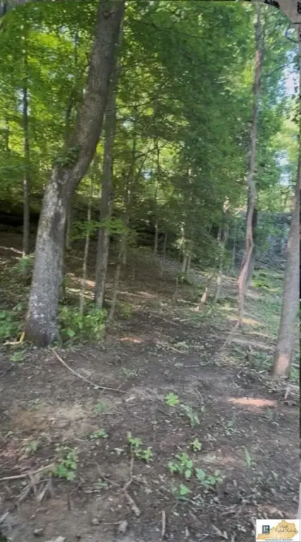 Picture 2