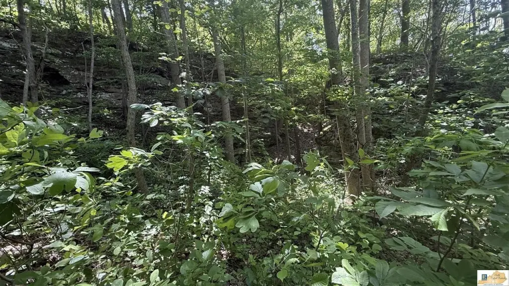 Picture 12