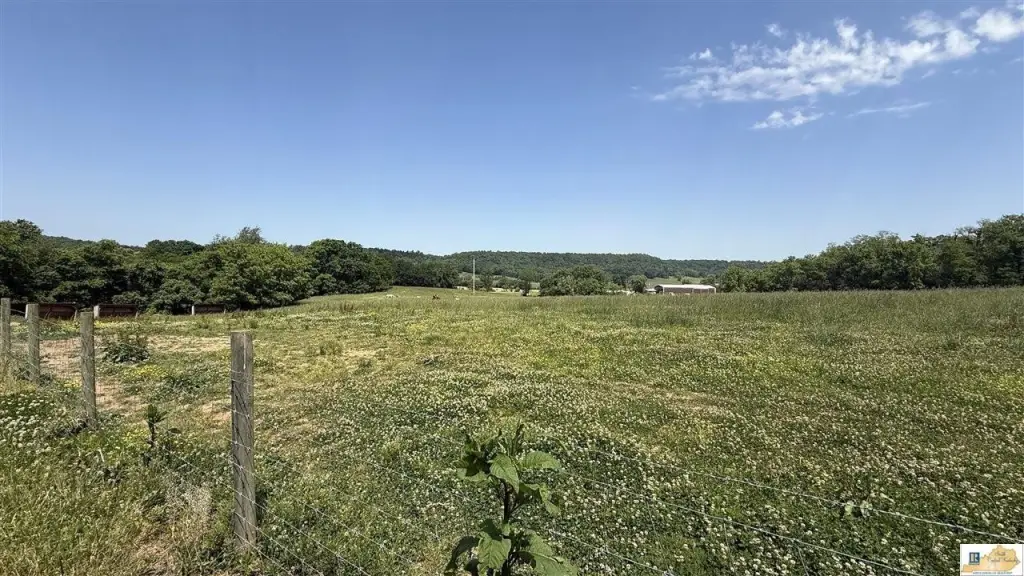 Picture 10