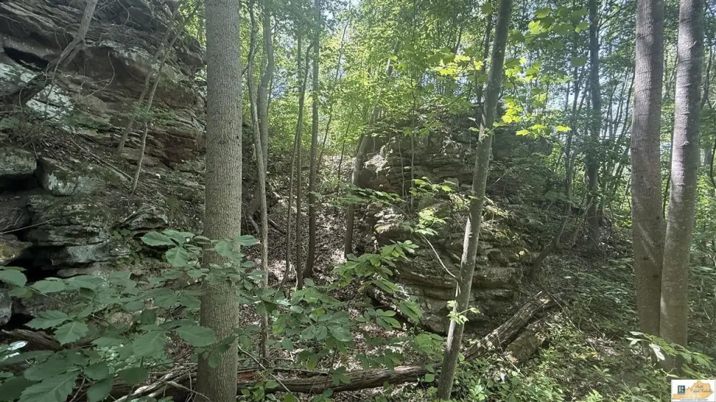 Picture 27