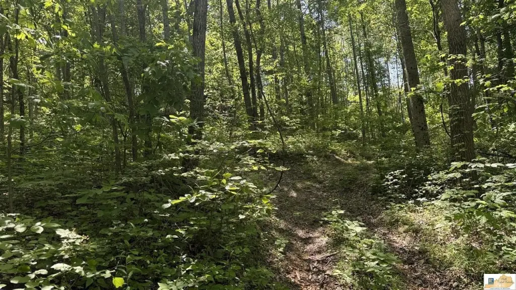 Picture 25