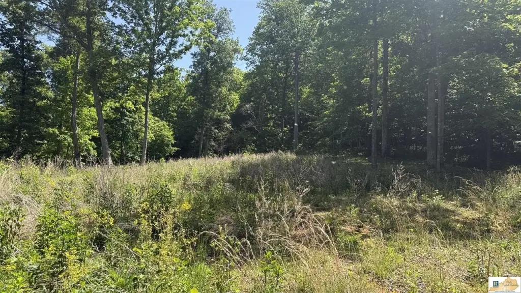 Picture 21