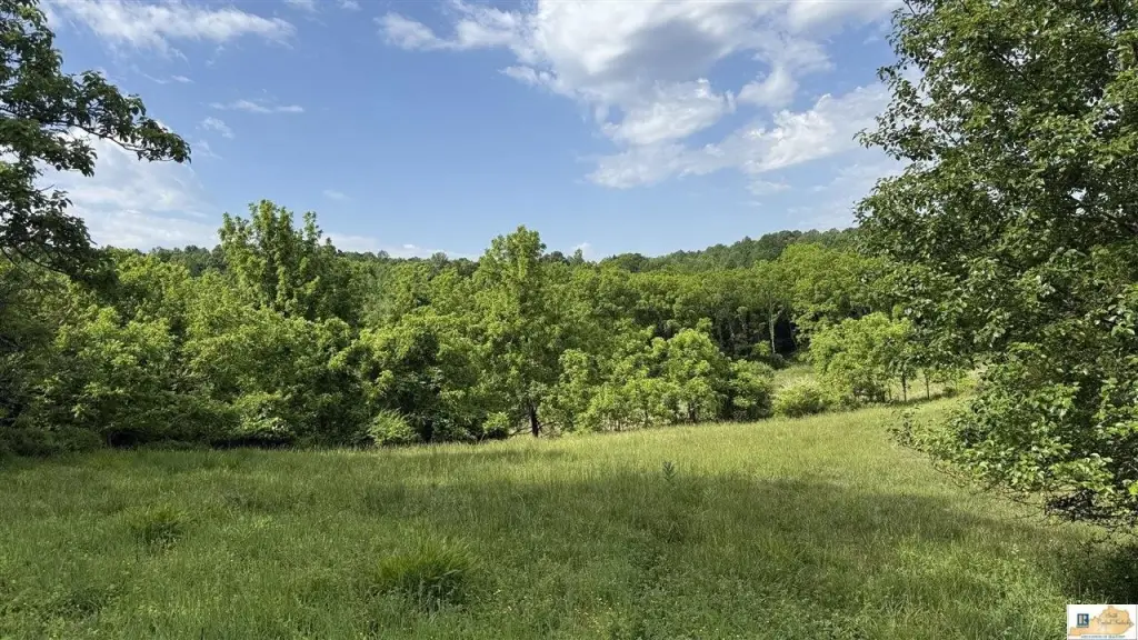 Picture 14