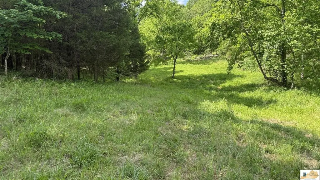 Picture 19