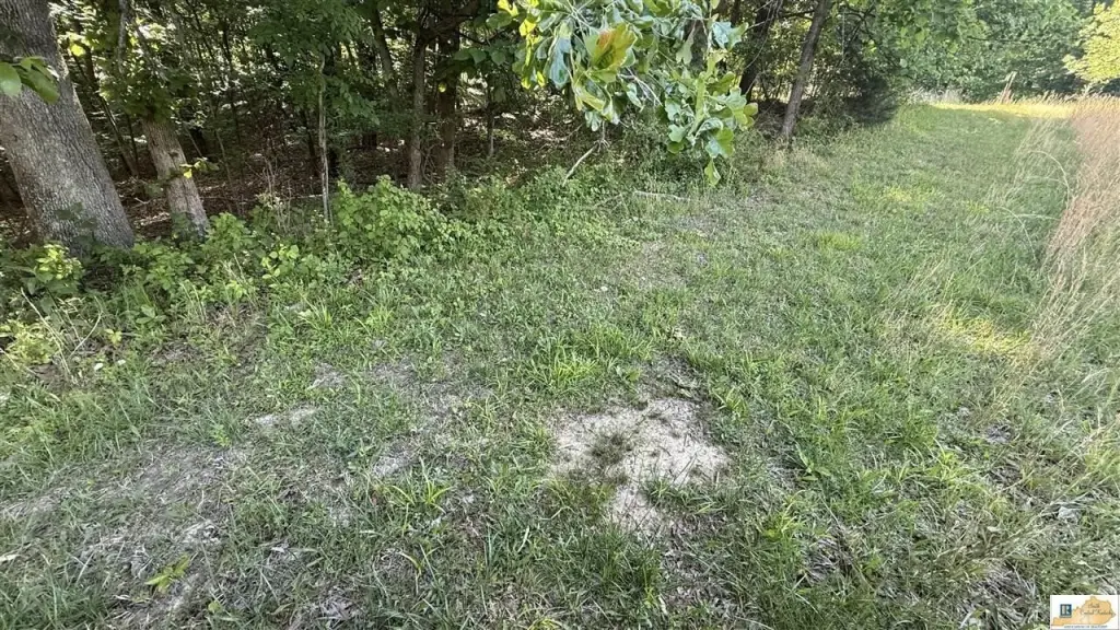 Picture 22