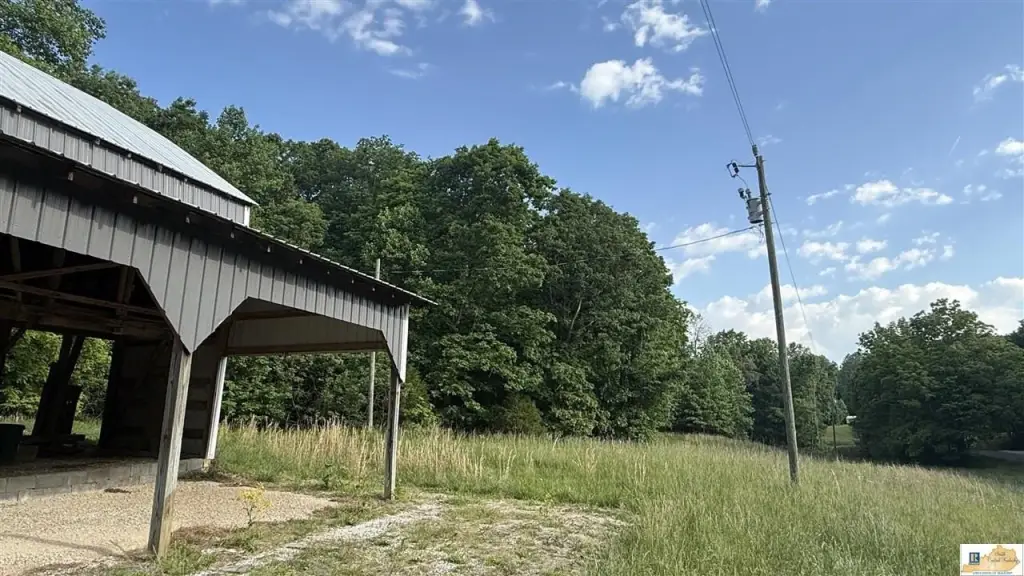 Picture 15