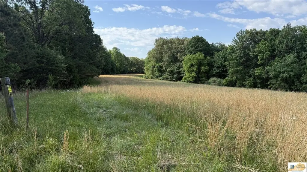 Picture 20