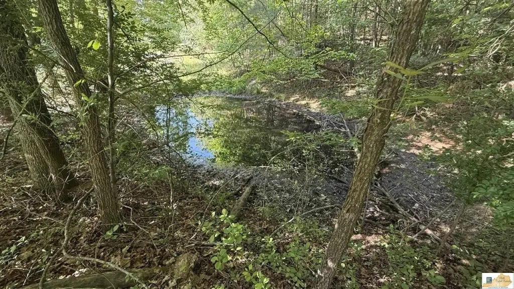 Picture 29