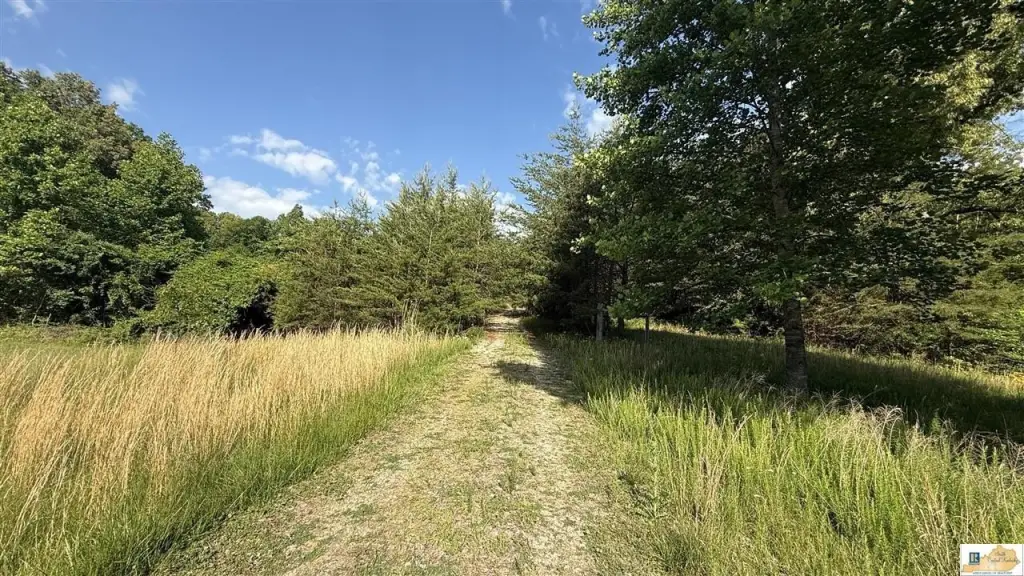 Picture 19